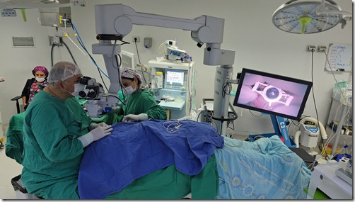 WhatsApp Image 2026-03-20 at 11.14.12 AM