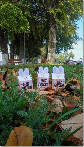 666048812_1271818305043571_226111960260434446_n