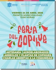 677170896_1426731116161476_8457576370976841887_n