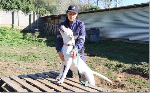 campa&ntilde;a adopci&oacute;n