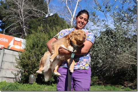 cxampa&ntilde;a adopci&oacute;n 2