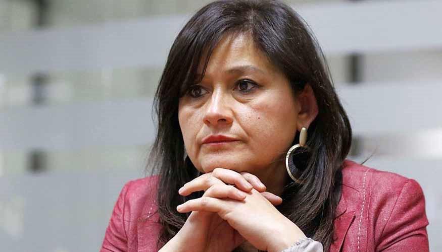 Susana Aguilera Vega, directora regional del SernamEG en La Araucanía.