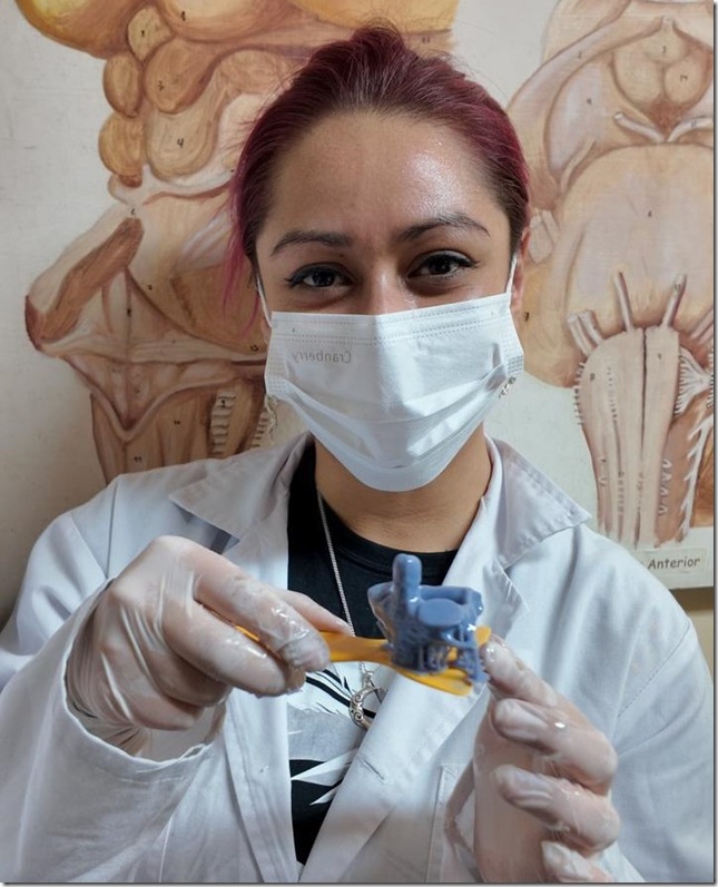 UST Temuco implementa osteoteca con modelos impresos en 3D para fortalecer el estudio anat&oacute;mico en estudiantes de Kinesiolog&iacute;a (1)