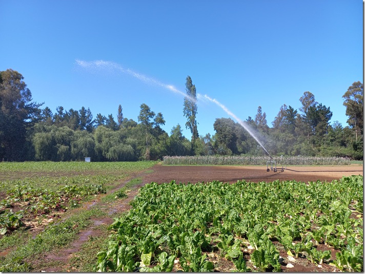 WhatsApp Image 2025-07-24 at 10.58.43