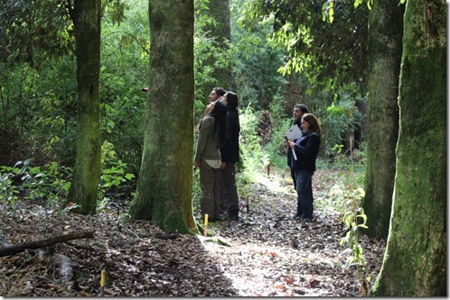 Fomento al bosque nativo 003