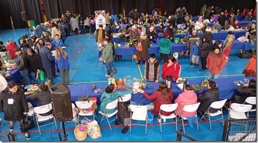 Frutos y oficios del Bosque Rimü_Villarrica 1