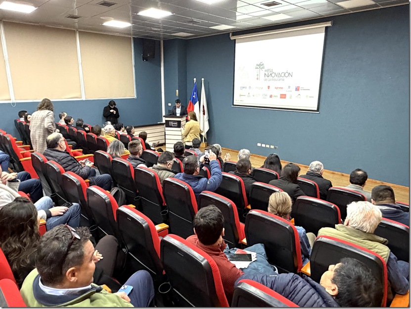 Mesa Innovación Araucanía 1