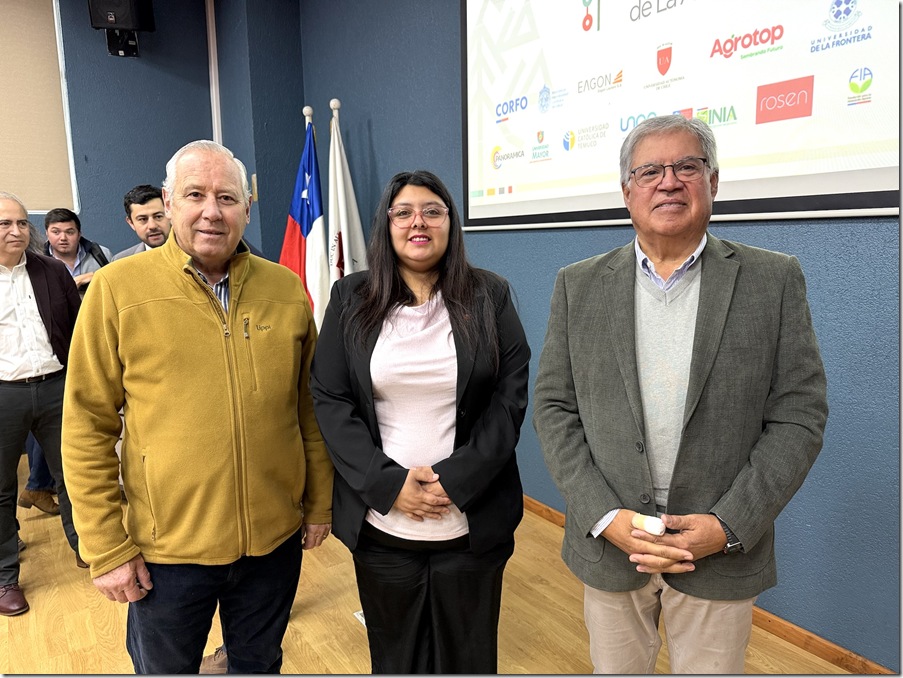 Mesa Innovación Araucanía 7