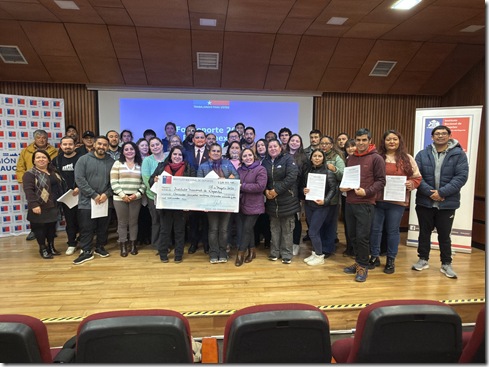 mindep araucania