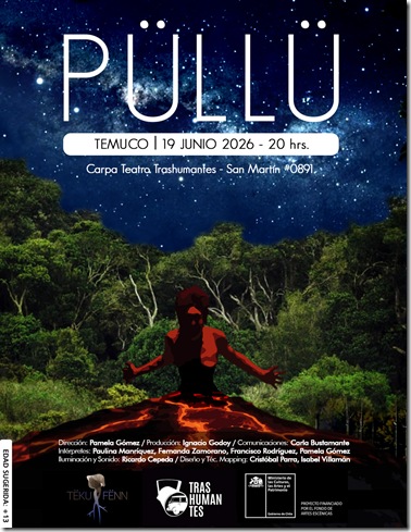 Afiche Temuco_ Rodrigo Squella