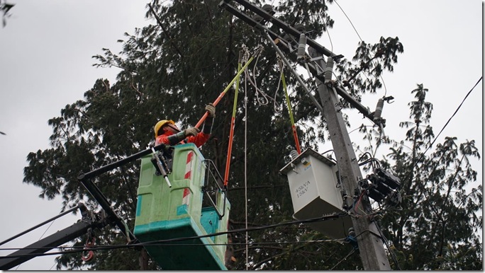 trabajos contingencia tco