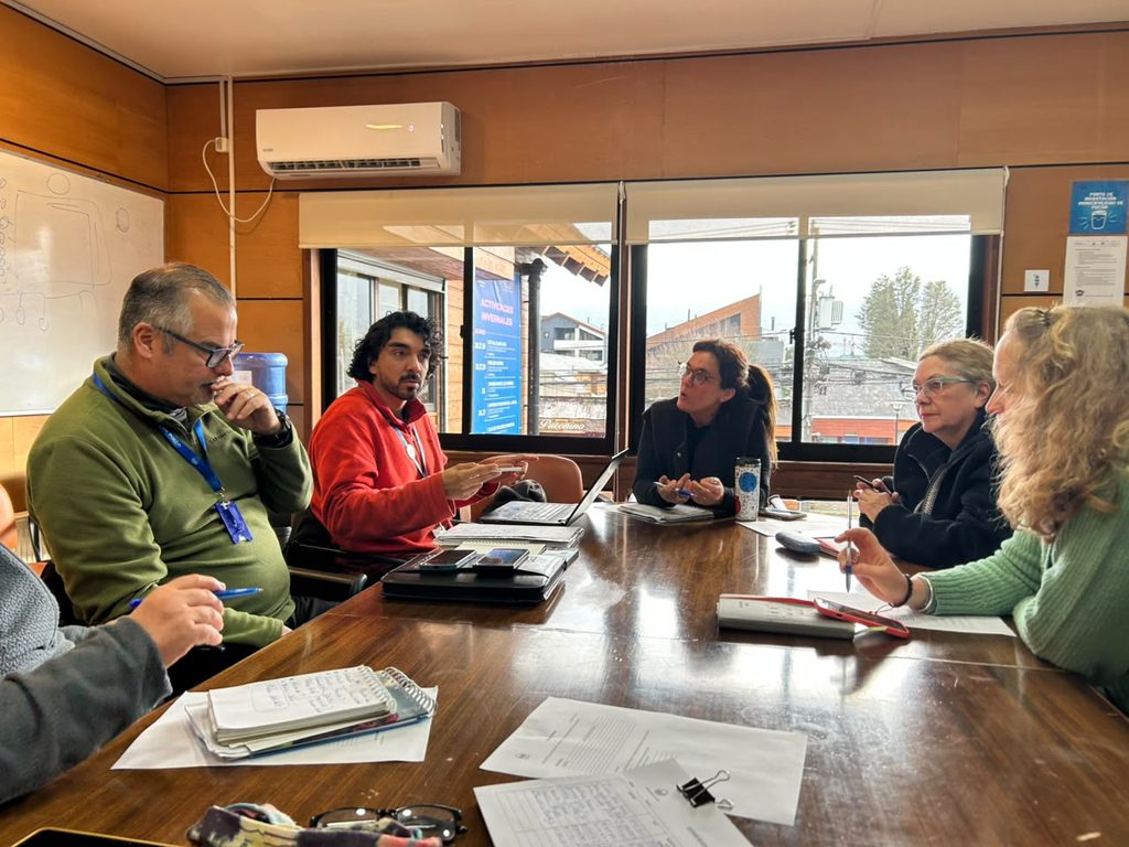 Representantes de agrupaciones animalistas y autoridades municipales de Pucón en mesa de trabajo por el nuevo canil.