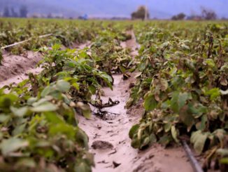 Autoridades regionales de La Araucanía reunidas para coordinar medidas ante el sistema frontal en el sector agrícola.
