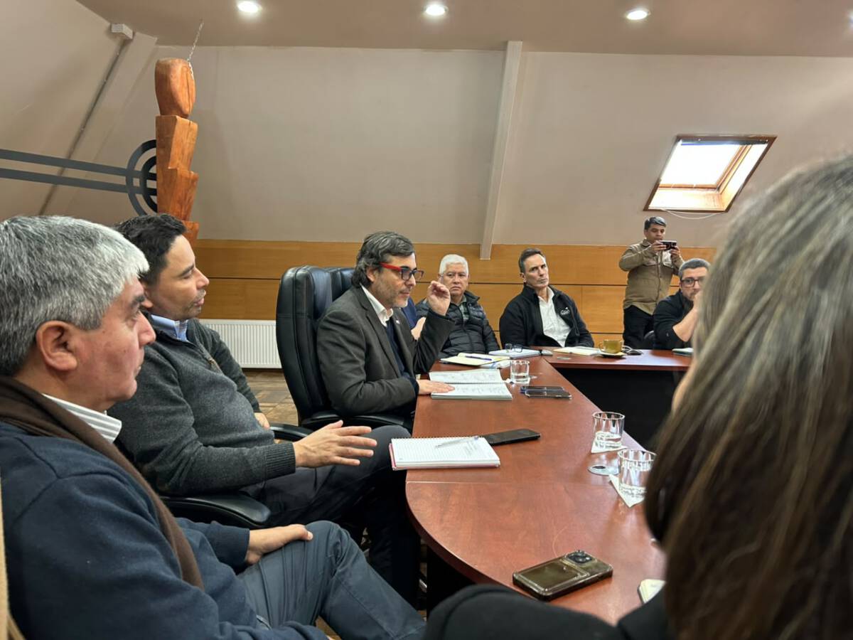 Autoridades y representantes gremiales reunidos en la Municipalidad de Pucón para discutir plan de acción tras emergencias.