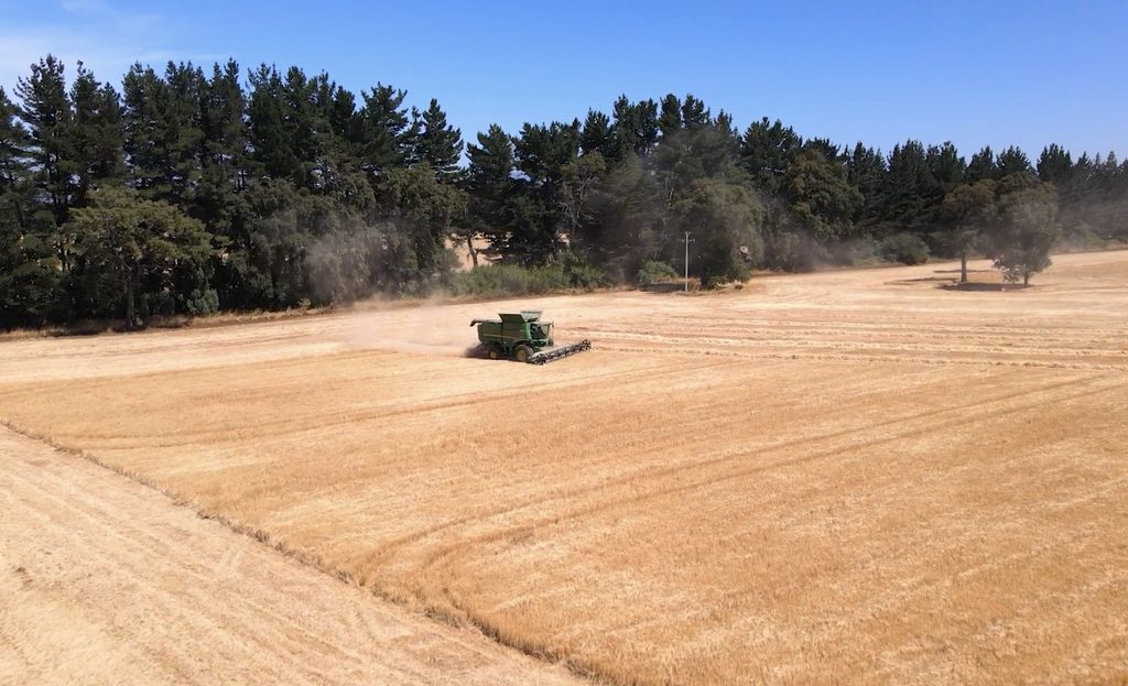 Agricultores en predio rural de La Araucanía analizando impacto de inseguridad