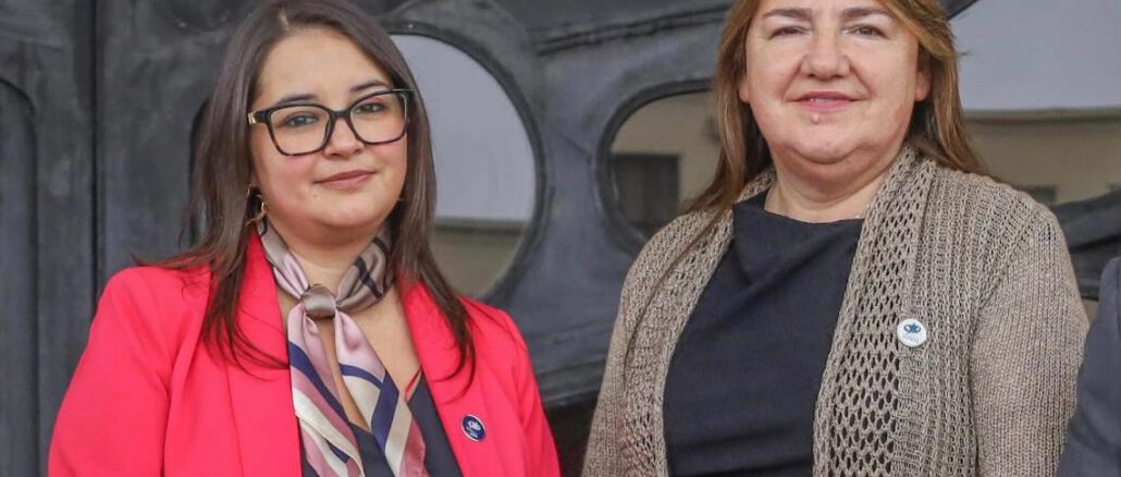 Diputadas en la comisión de desarrollo social discutiendo el proyecto de ley postnatal