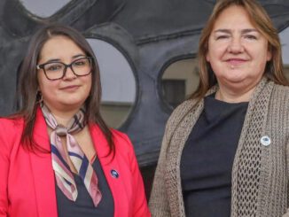 Diputadas en la comisión de desarrollo social discutiendo el proyecto de ley postnatal