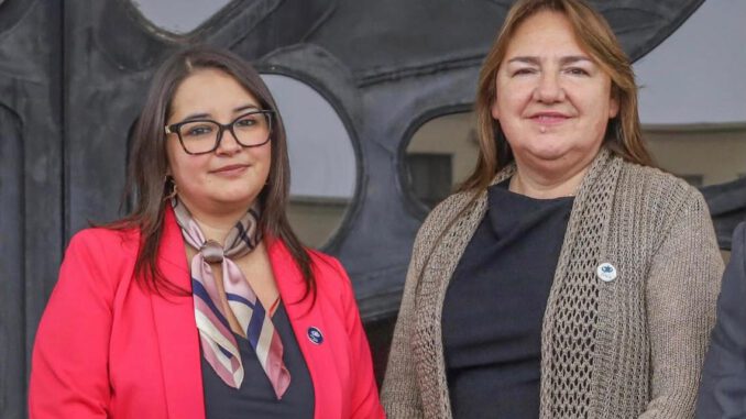 Diputadas en la comisión de desarrollo social discutiendo el proyecto de ley postnatal