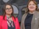 Diputadas en la comisión de desarrollo social discutiendo el proyecto de ley postnatal