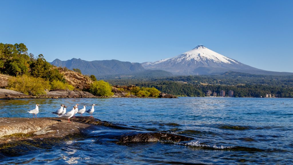 Vista panorámica del Lago Villarrica bajo un cielo despejado en la región de La Araucanía