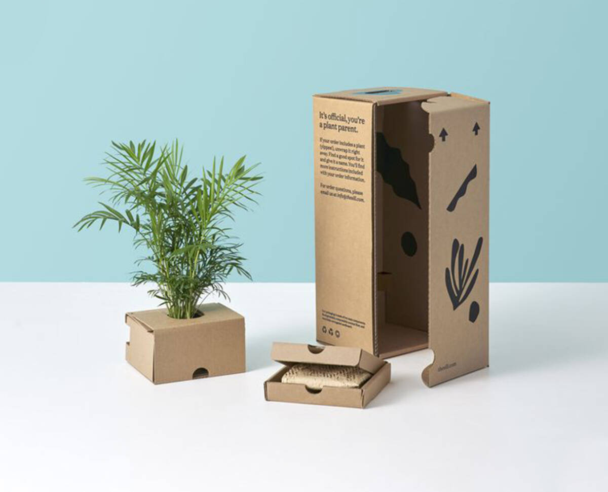 Emprendedores participando en taller virtual de packaging sostenible organizado por Laben Chile