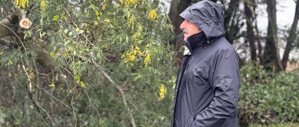 Delegado Presidencial y autoridades de SENAPRED inspeccionan daños por sistema frontal en Malleco