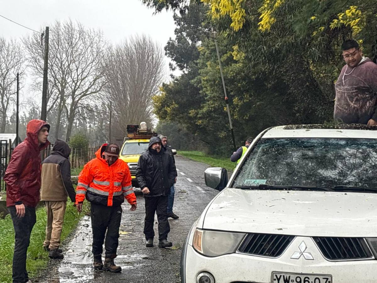 Delegado Presidencial y autoridades de SENAPRED inspeccionan daños por sistema frontal en Malleco