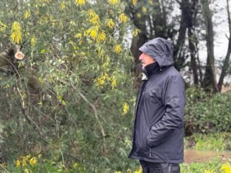 Delegado Presidencial y autoridades de SENAPRED inspeccionan daños por sistema frontal en Malleco