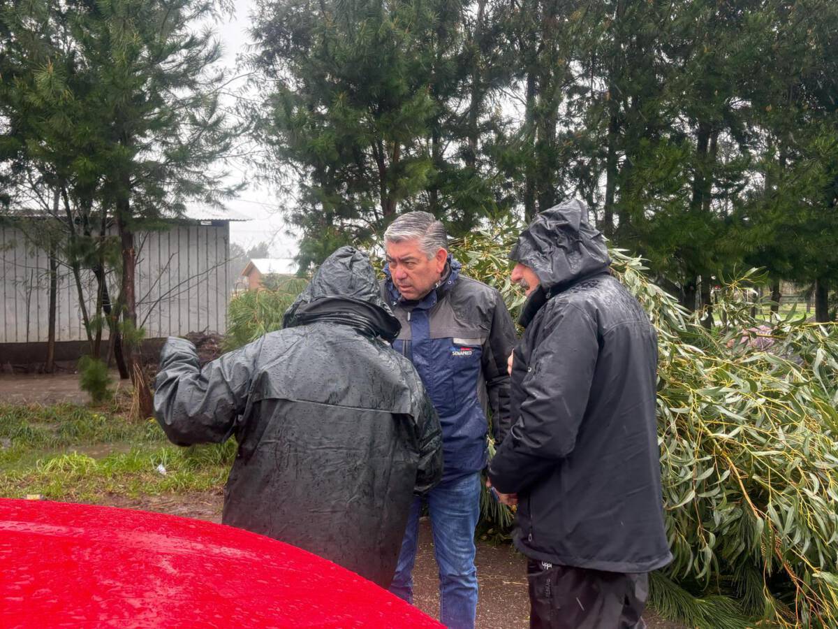 Delegado Presidencial y autoridades de SENAPRED inspeccionan daños por sistema frontal en Malleco