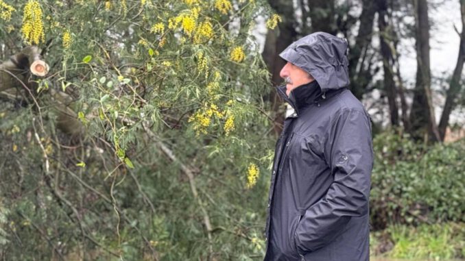 Delegado Presidencial y autoridades de SENAPRED inspeccionan daños por sistema frontal en Malleco
