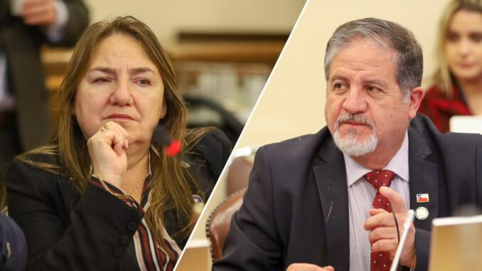 Diputados chilenos presentan proyecto de ley para sancionar la xenofobia en recintos turísticos tras agresión en Valle Nevado.