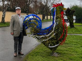 Escultura vegetal con forma de gallo francés en la ciudad de Victoria, La Araucanía.