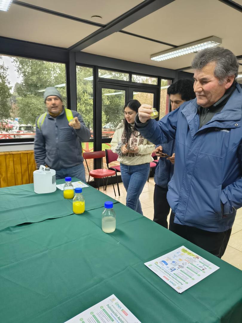 Productores agrícolas participando en una jornada técnica sobre polinización asistida en un huerto de avellano europeo