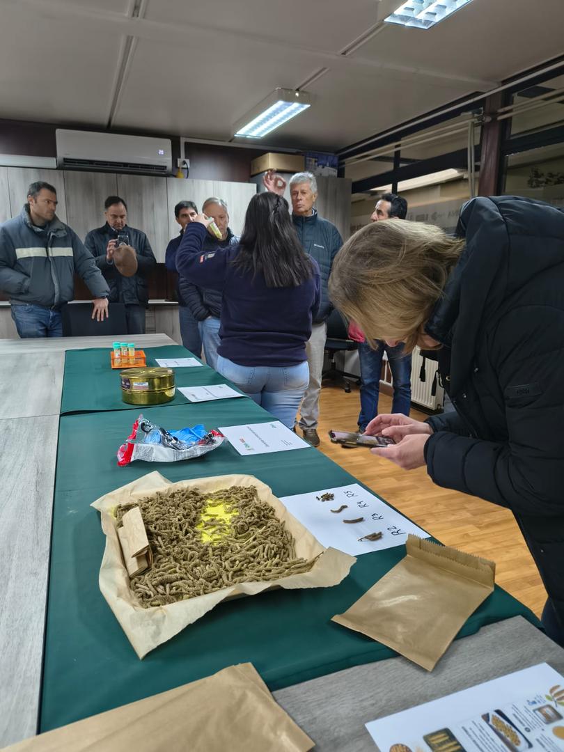 Productores agrícolas participando en una jornada técnica sobre polinización asistida en un huerto de avellano europeo