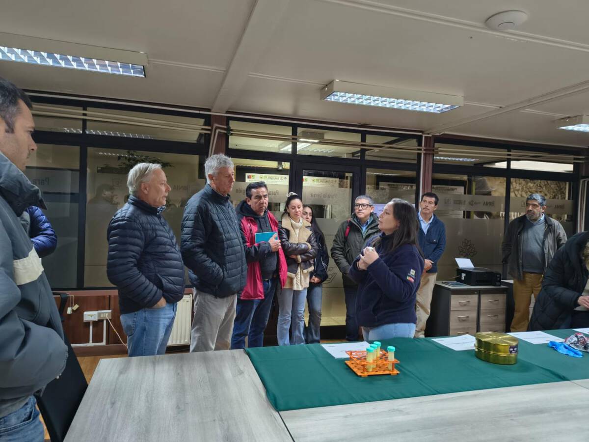 Productores agrícolas participando en una jornada técnica sobre polinización asistida en un huerto de avellano europeo
