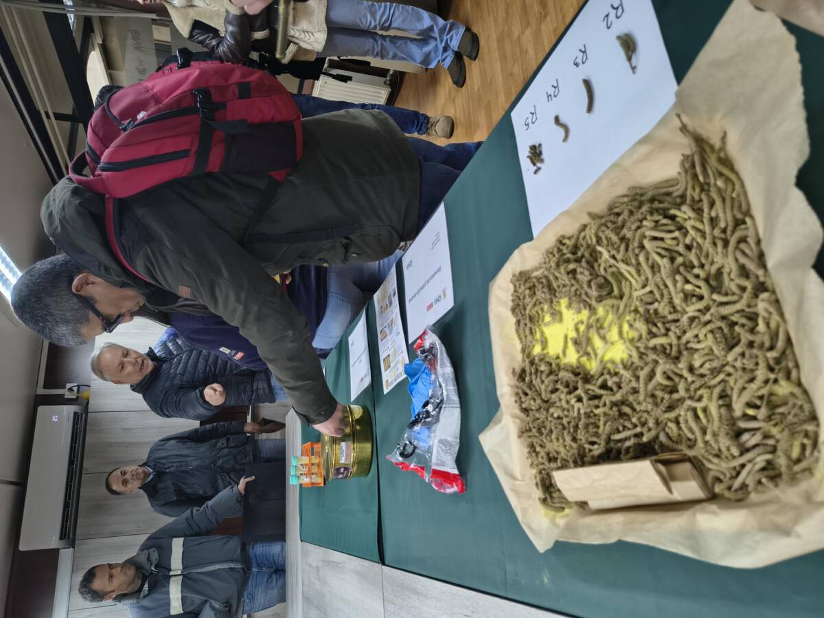Productores agrícolas participando en una jornada técnica sobre polinización asistida en un huerto de avellano europeo