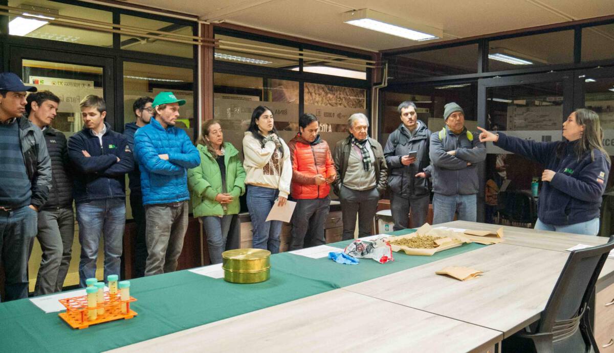 Productores agrícolas participando en una jornada técnica sobre polinización asistida en un huerto de avellano europeo