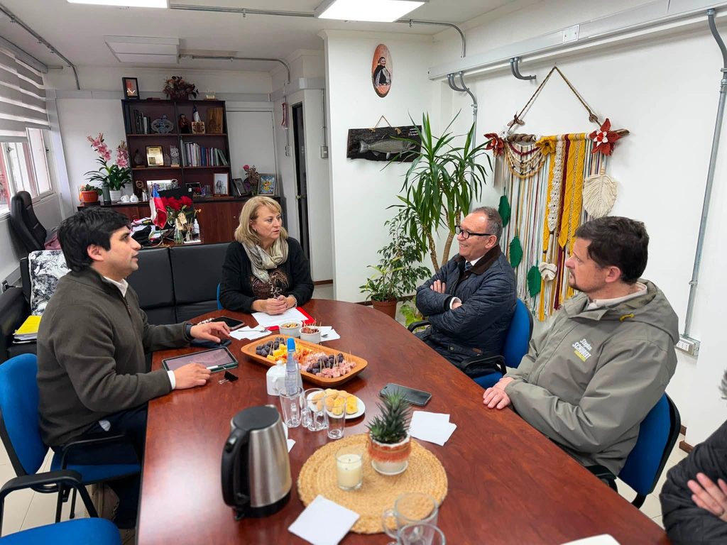 El ministro José García Ruminot y el diputado Stephan Schubert en reunión de trabajo con la alcaldesa Jacqueline Romero en Pitrufquén
