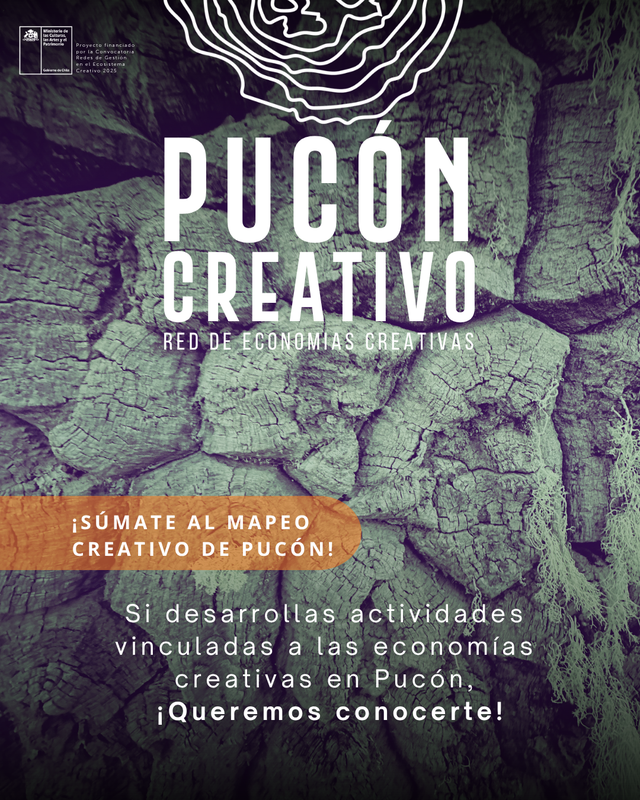 Personas y organizaciones participando en el proceso de mapeo de economías creativas en Pucón