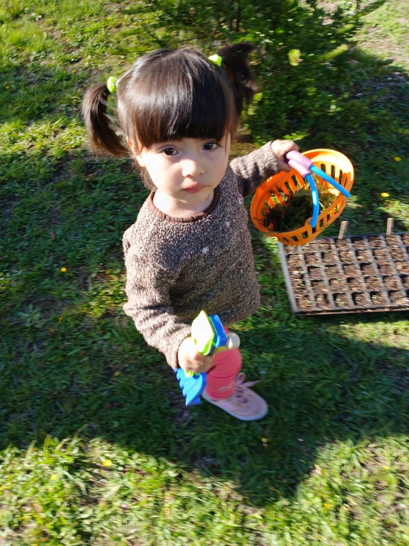 Niños y niñas participando en actividades pedagógicas lúdicas en la Sala Cuna Las Araucanas de Villarrica