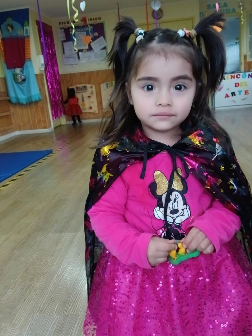 Niños y niñas participando en actividades pedagógicas lúdicas en la Sala Cuna Las Araucanas de Villarrica