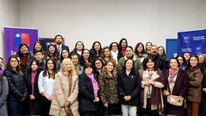 Funcionarios públicos y municipales participando en jornada de capacitación sobre violencia de género en La Araucanía