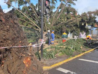 Equipos municipales de Temuco realizando labores de limpieza tras el fuerte temporal de viento y lluvia
