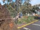 Equipos municipales de Temuco realizando labores de limpieza tras el fuerte temporal de viento y lluvia