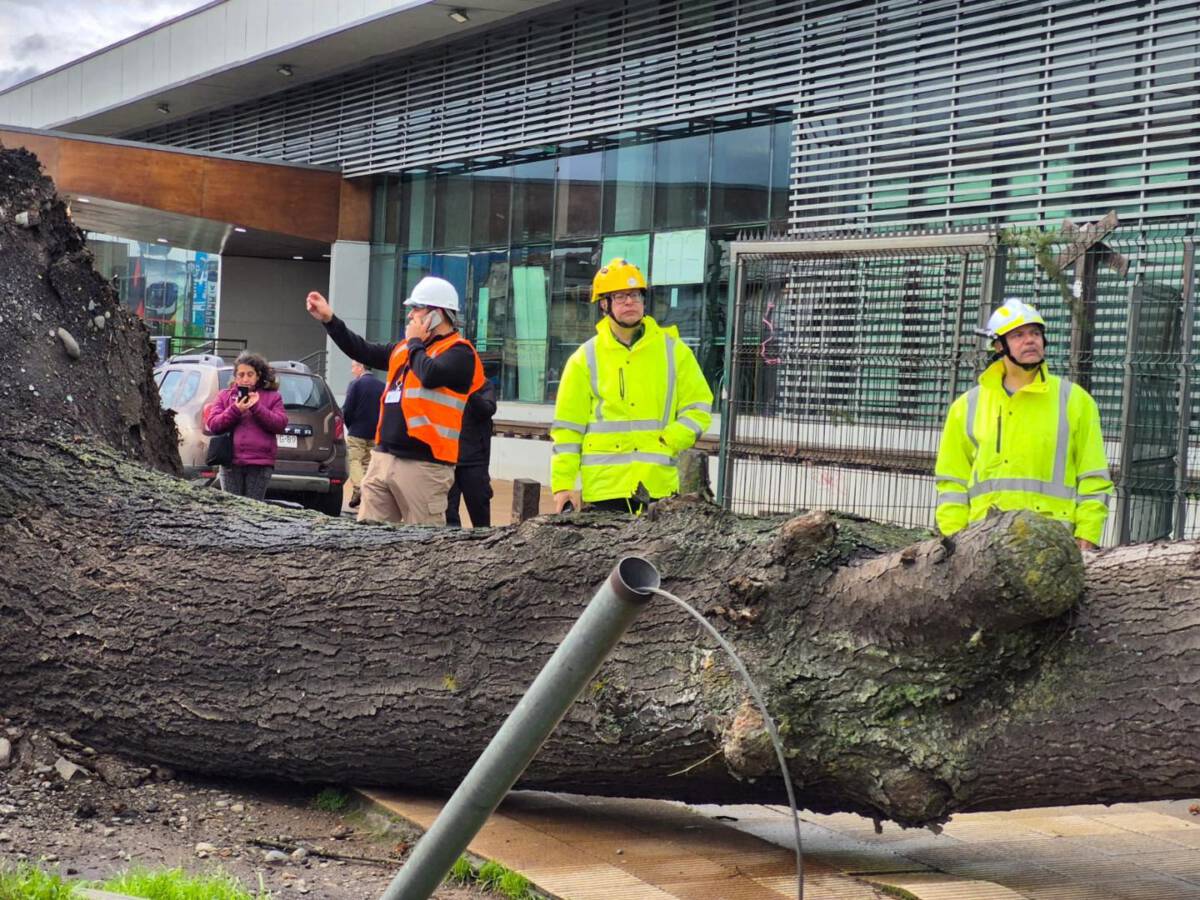Equipos municipales de Temuco realizando labores de limpieza tras el fuerte temporal de viento y lluvia