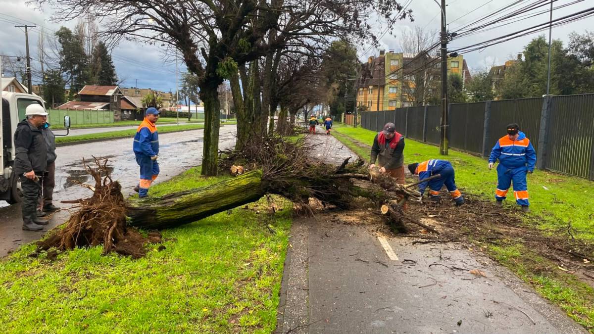 Equipos municipales de Temuco realizando labores de limpieza tras el fuerte temporal de viento y lluvia