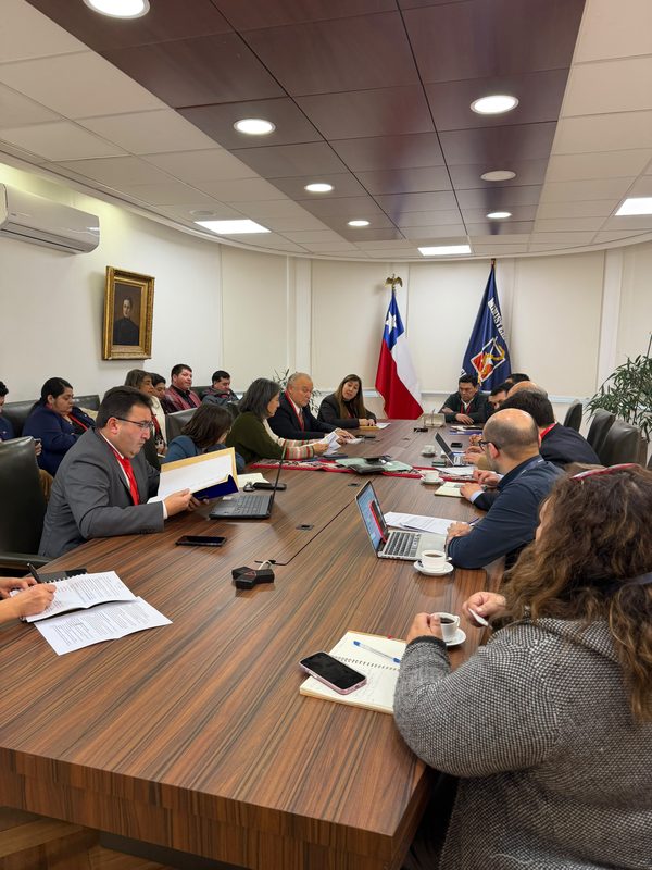Alcaldes de Ercilla, Vilcún y Carahue reunidos con la ministra de Salud para gestionar mejoras en infraestructura sanitaria.
