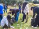 Vecinos de la comunidad de Huente participando en una jornada de plantación de árboles nativos y limpieza de espacios