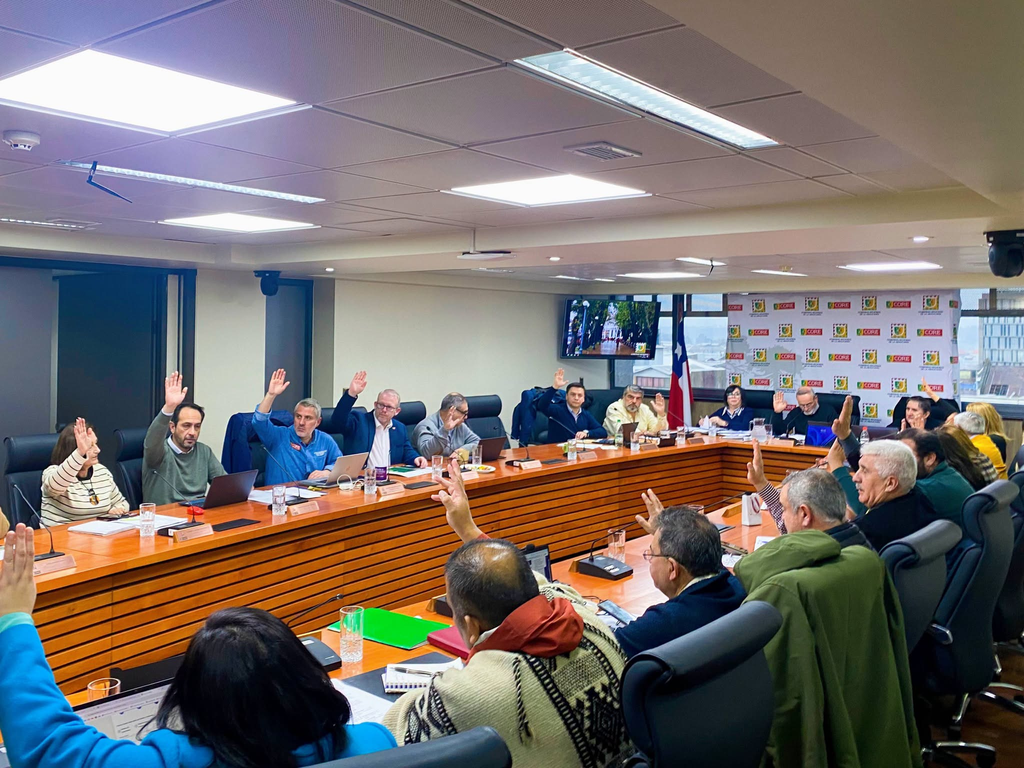 Emprendedores locales de Teodoro Schmidt celebran la aprobación de fondos regionales para potenciar sus negocios
