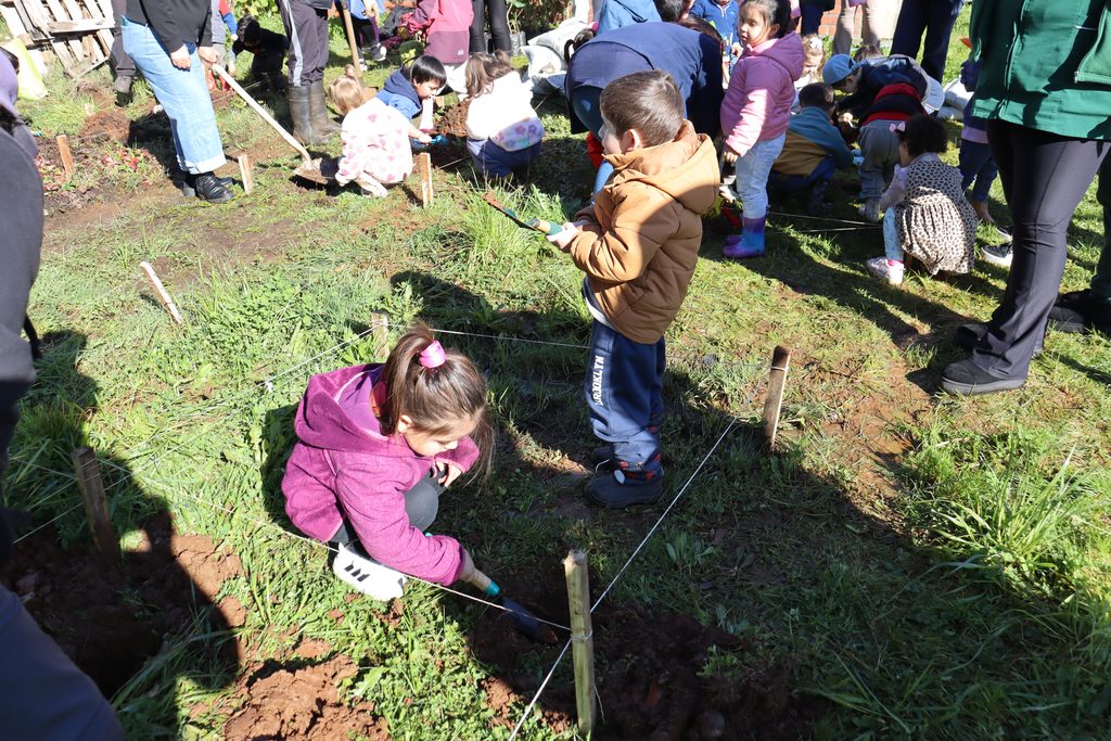 Voluntarios y expertos plantando árboles nativos en un espacio urbano de La Araucanía usando el método Miyawaki.